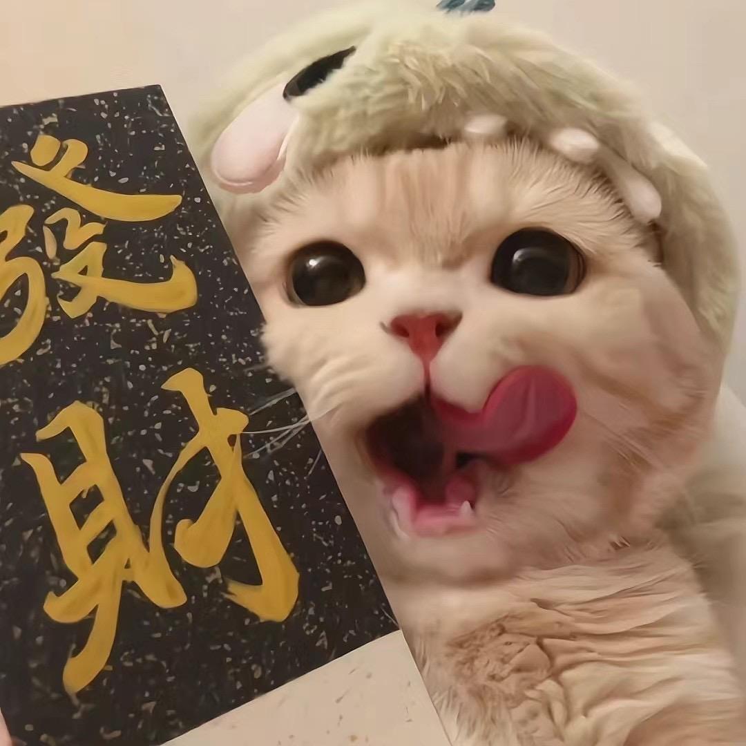 D。
