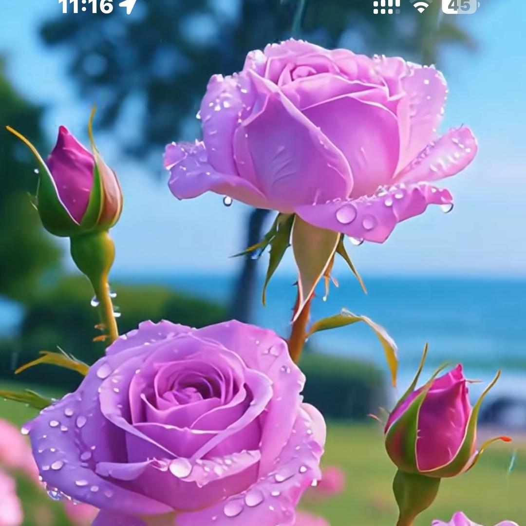 好运到来
