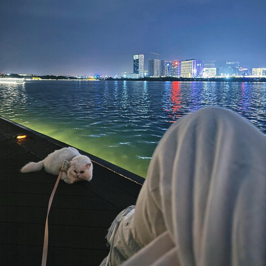芥末