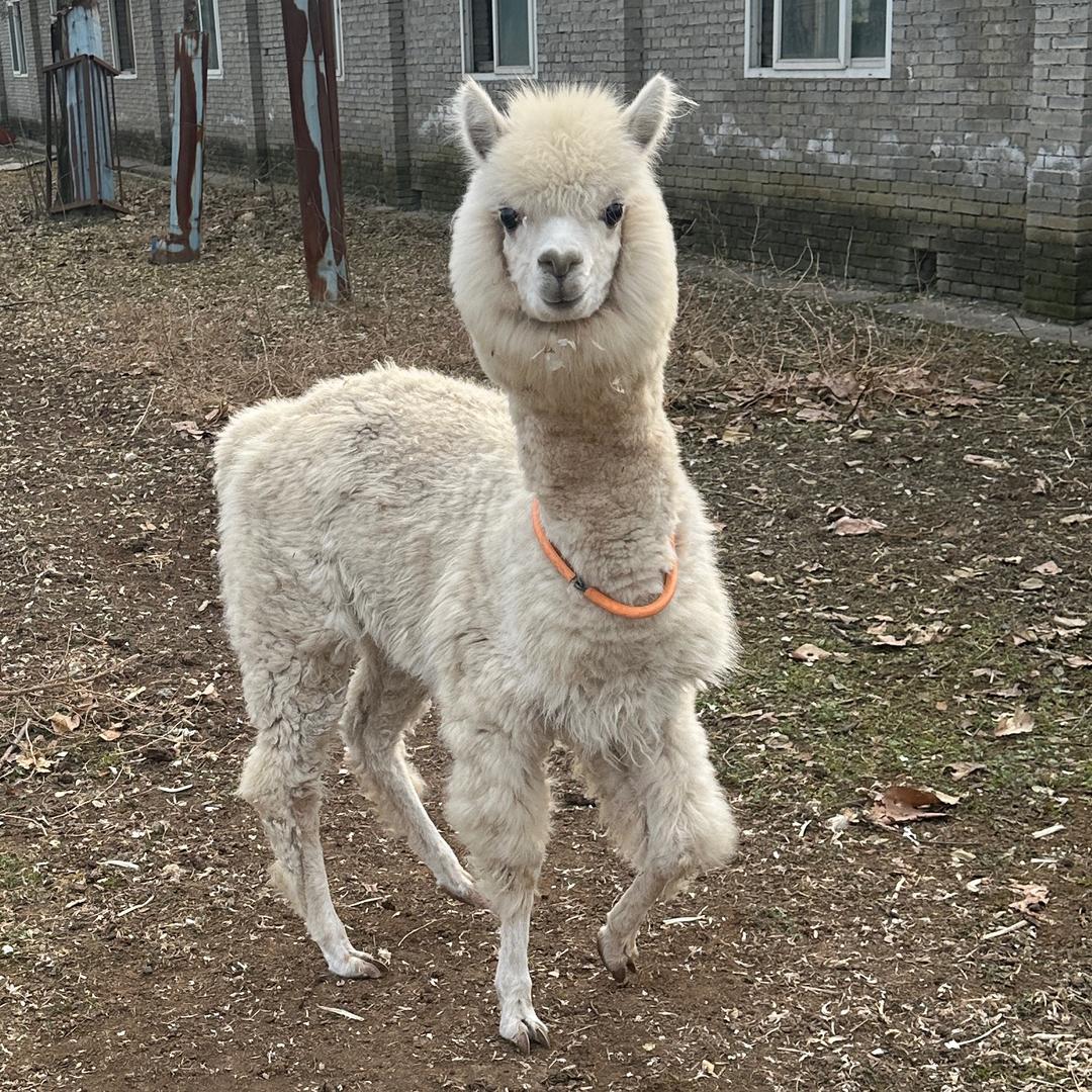 鄠邑区渭丰农副产品咨询交易服务中心