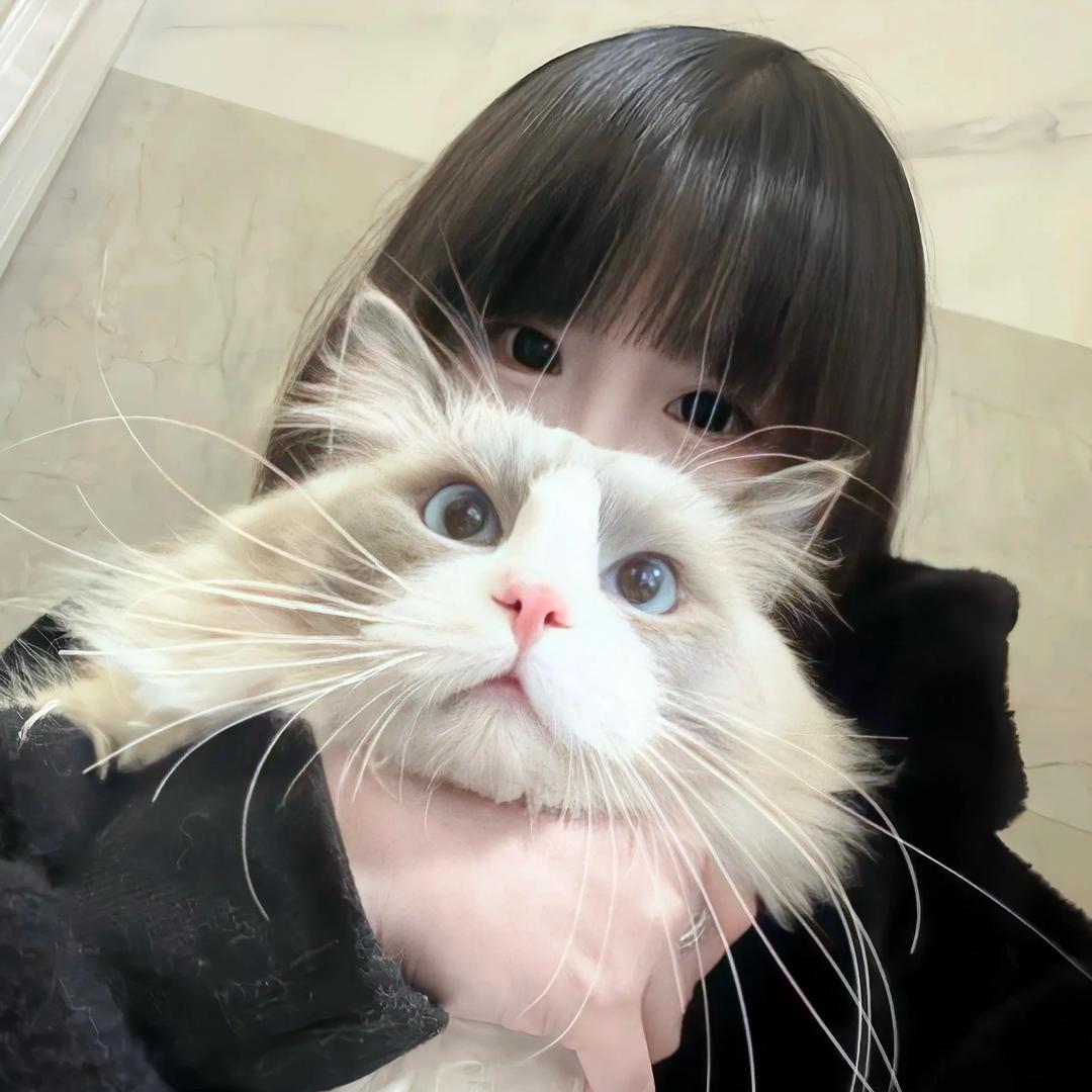 y.🐾