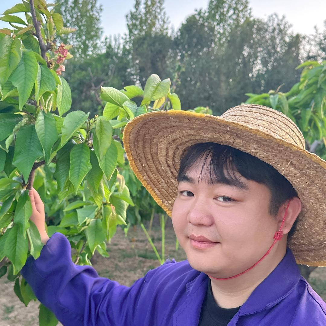 小辉家农场