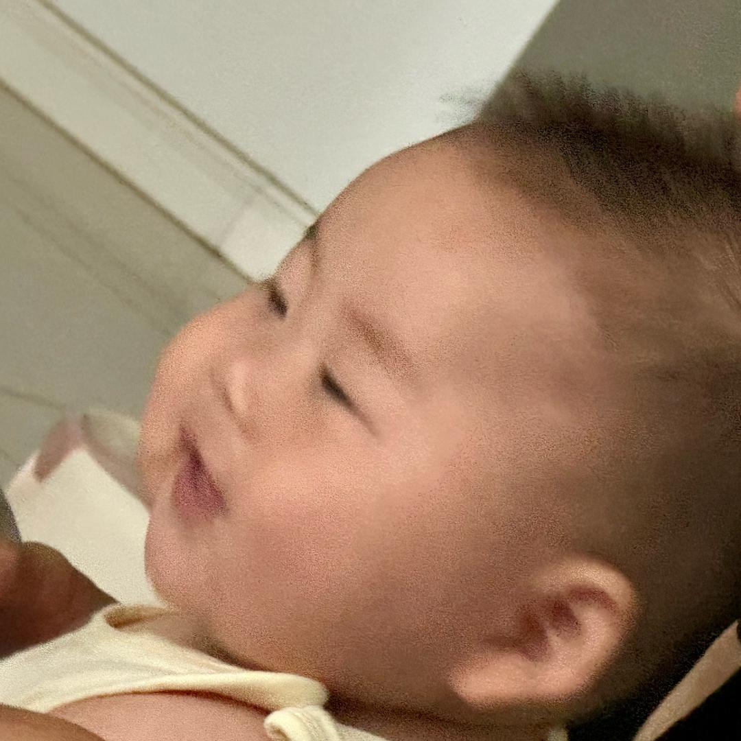 小茂茂