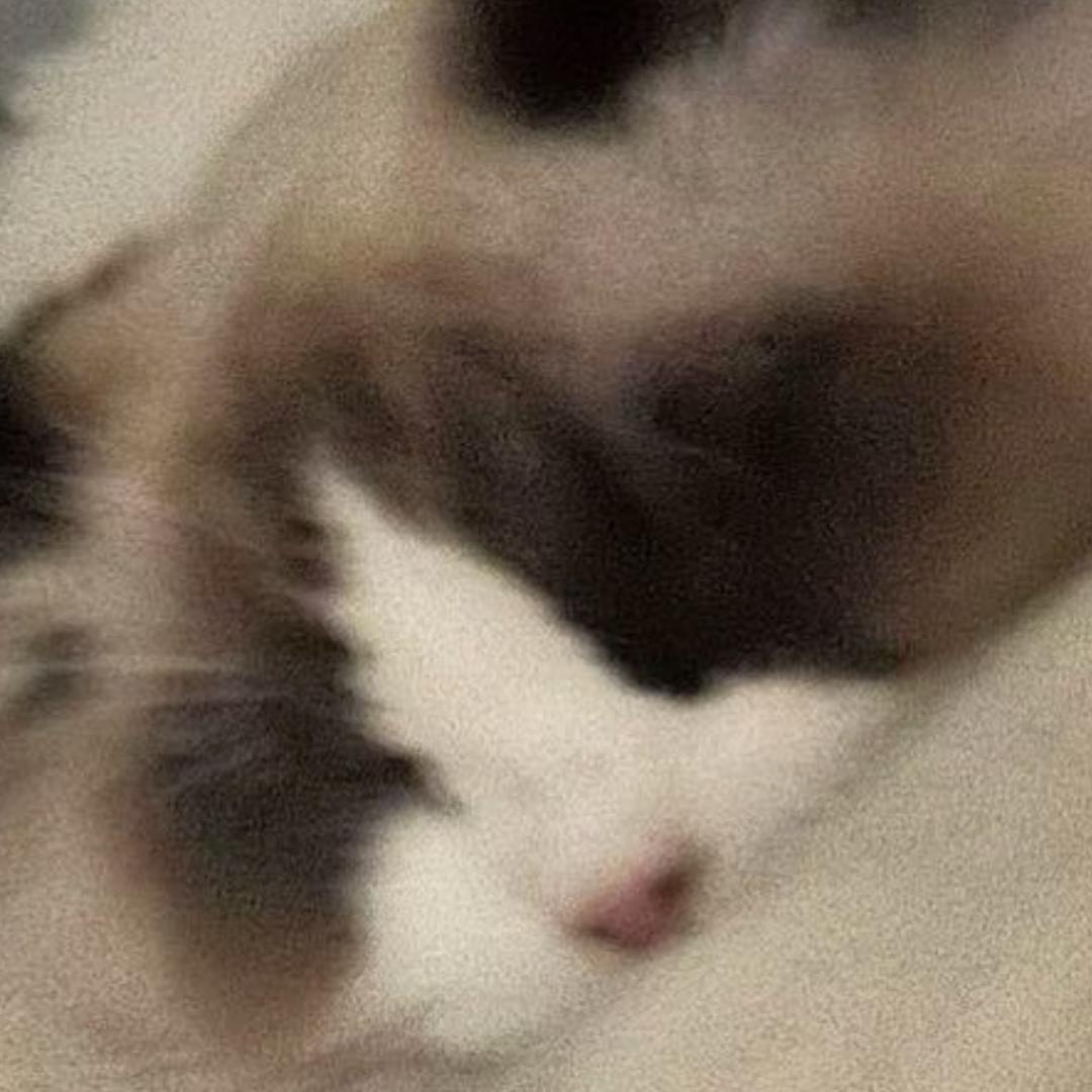 阿绿