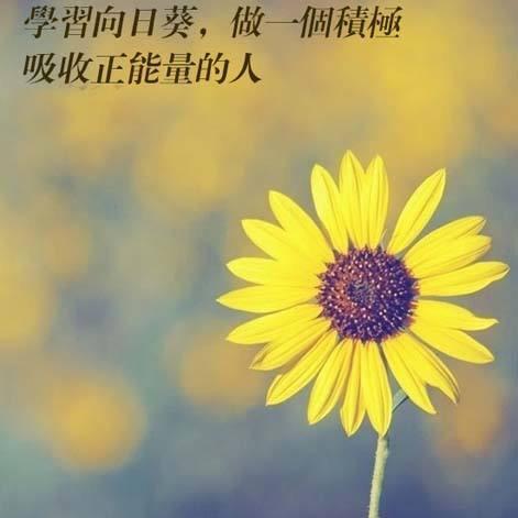 风儿