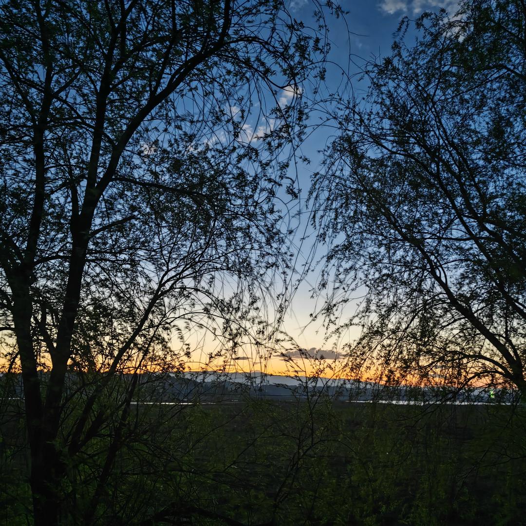 明道装饰金牌大家居