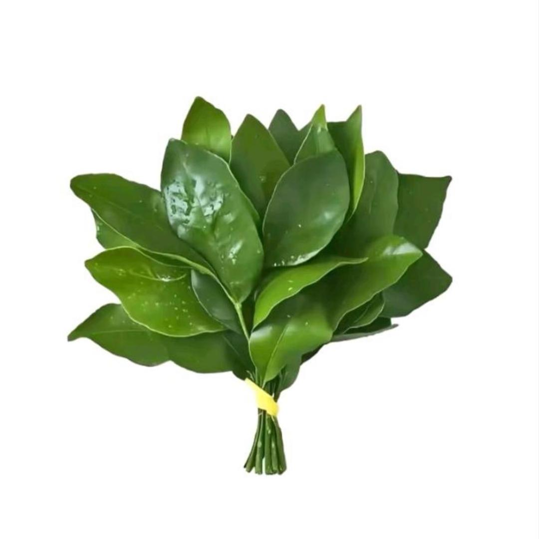 一碗鱼丸粗面