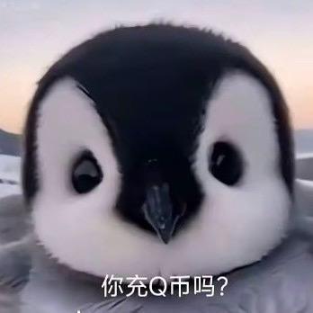 艺洋馨予