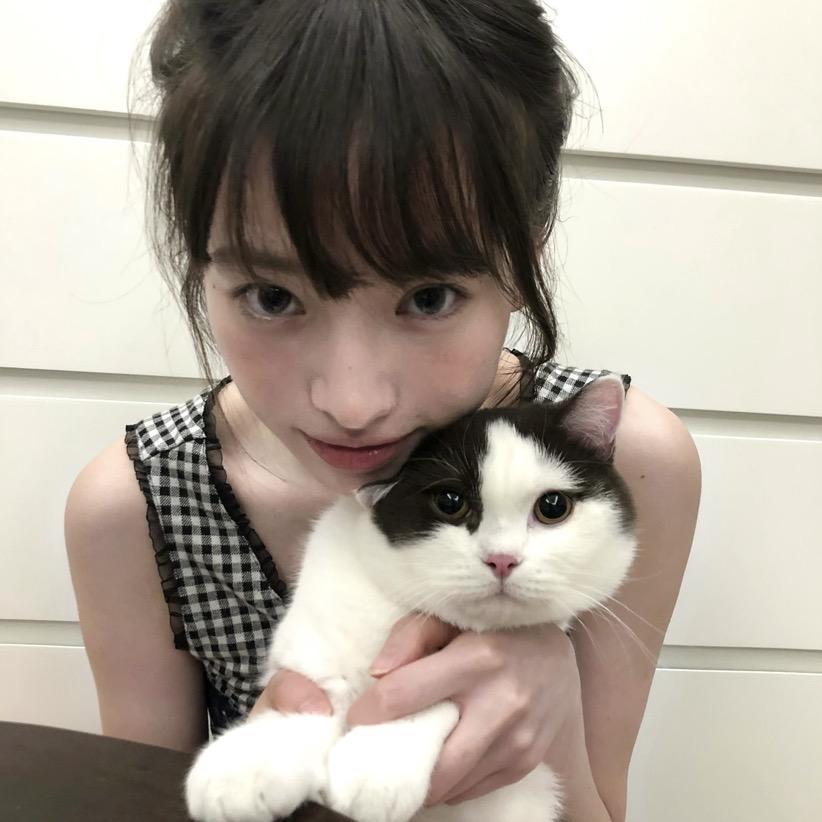 知早雾
