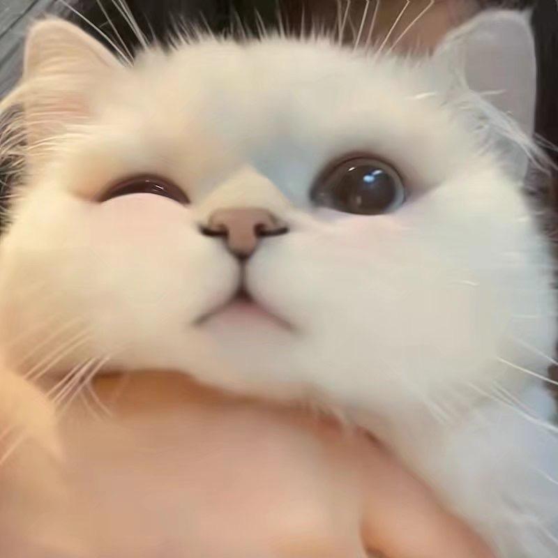 M.