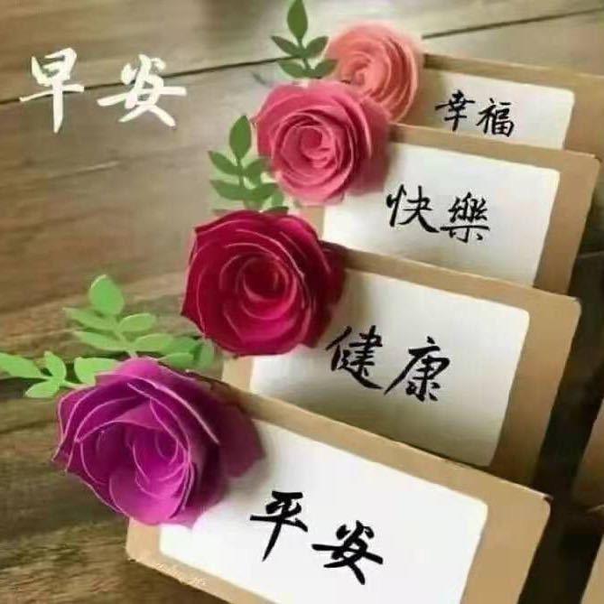 自然与人（不定时开播）