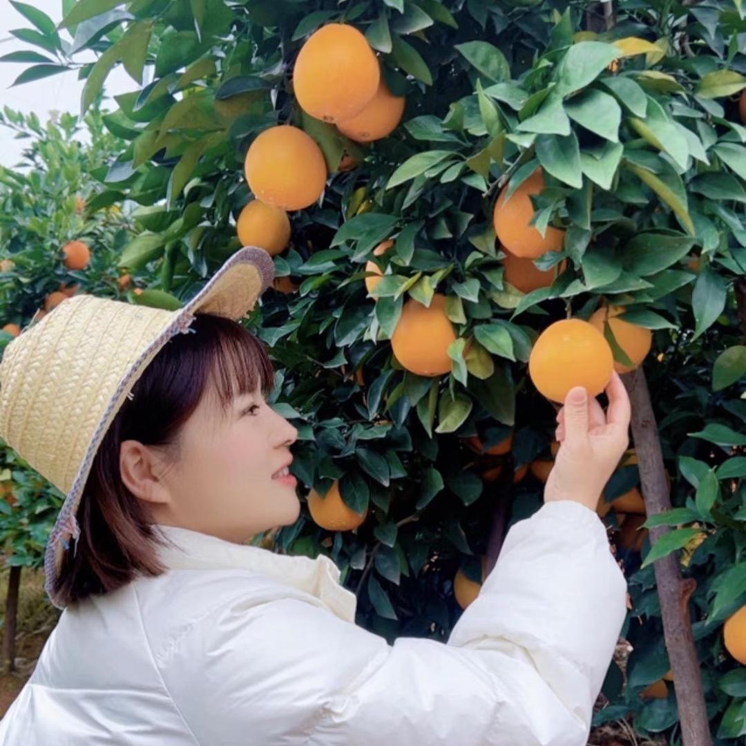 陈橙🍊