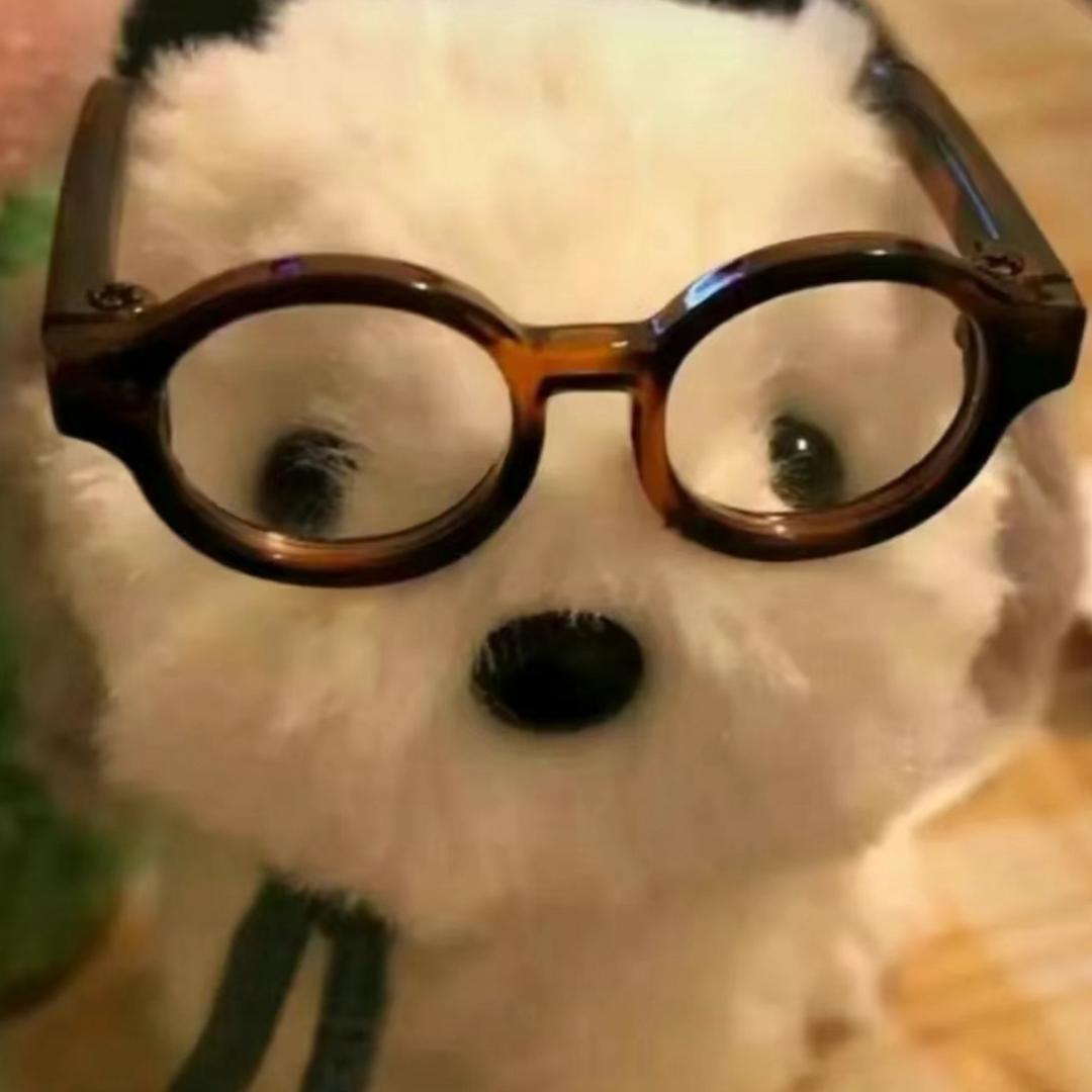 小猫次鱼
