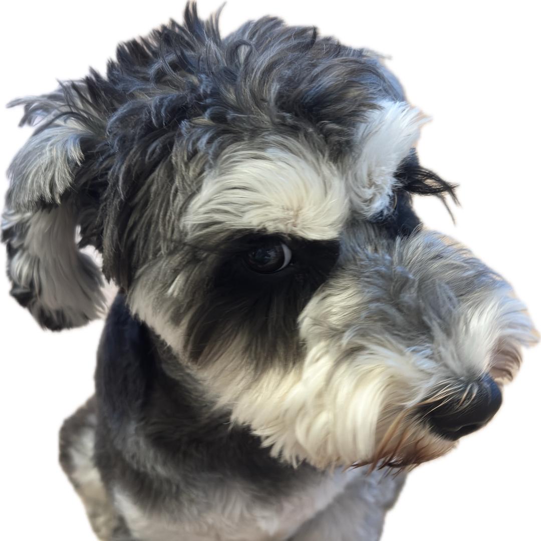 🕸️無尘⁶²⁵⁷