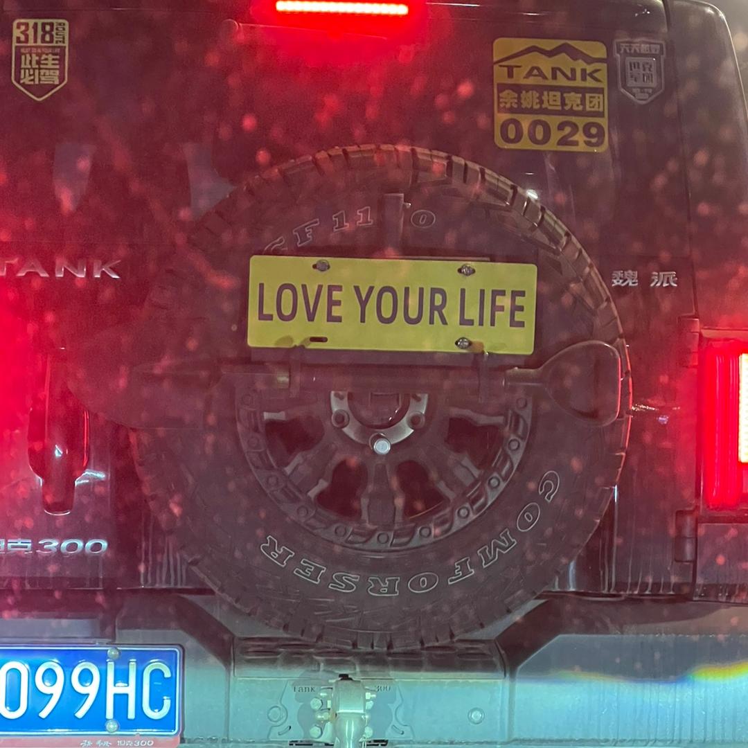喜欢便是自由