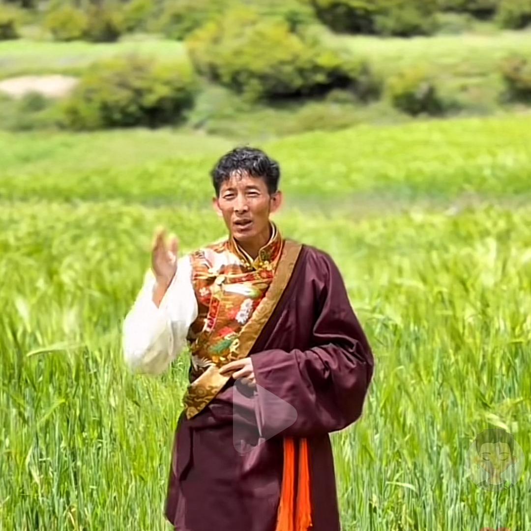 盐井仁哥