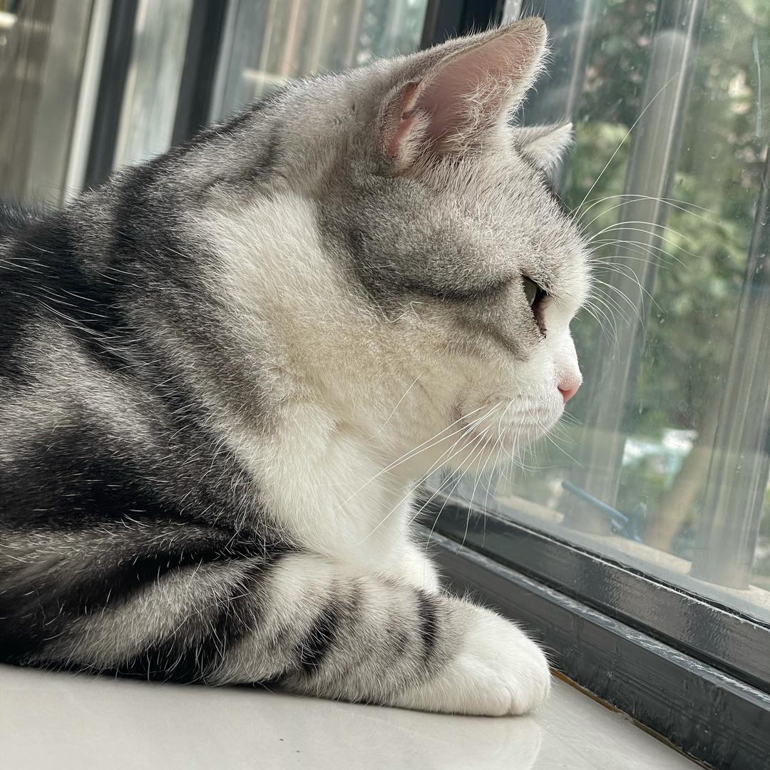 上b班