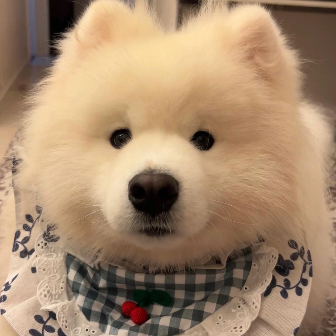 哎呦__