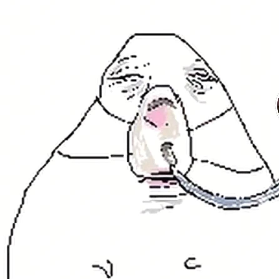 一直抛尸到海水变红