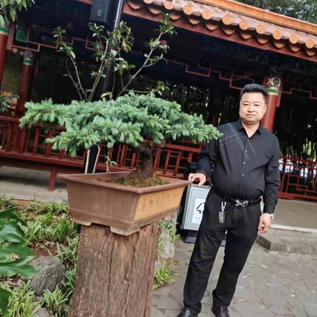 专业安装搅拌站