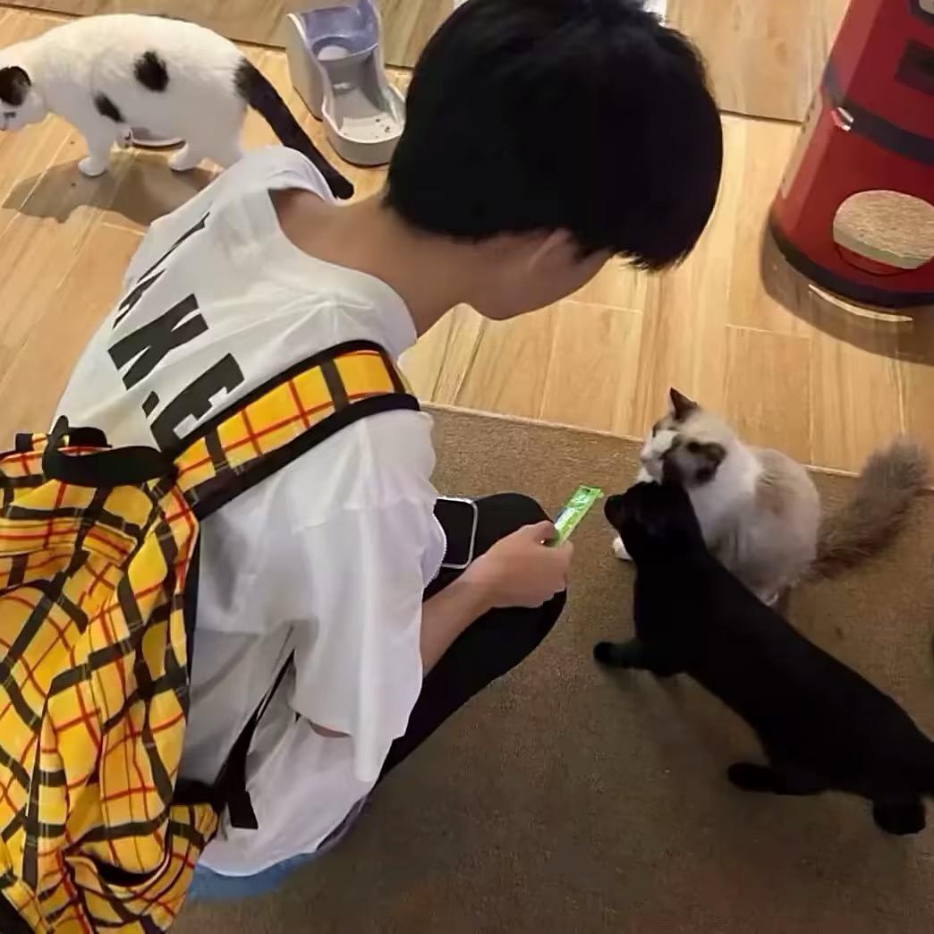 酷