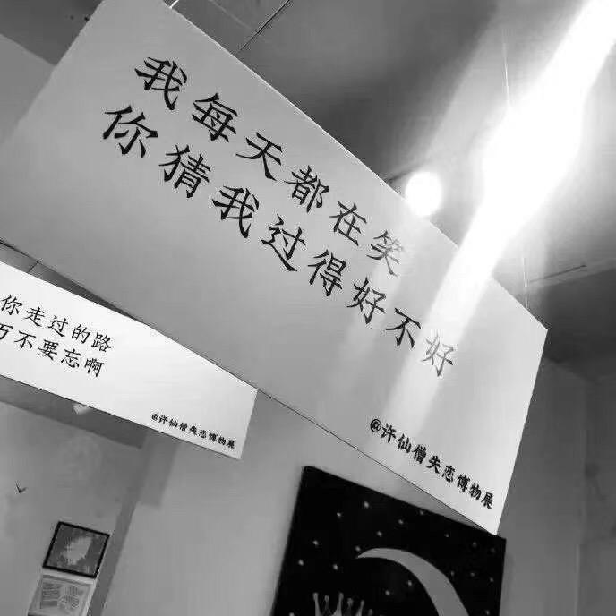 坑坑更健康！☔🌙☀