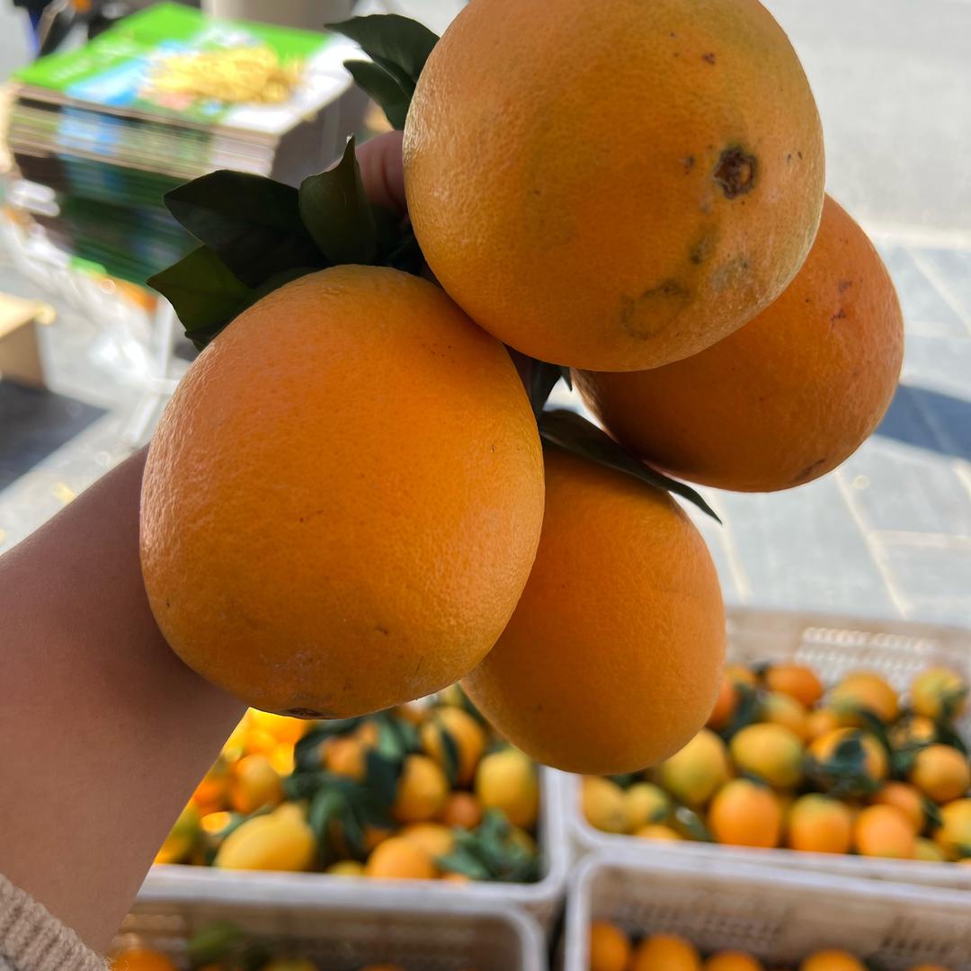 贵州村超百香果