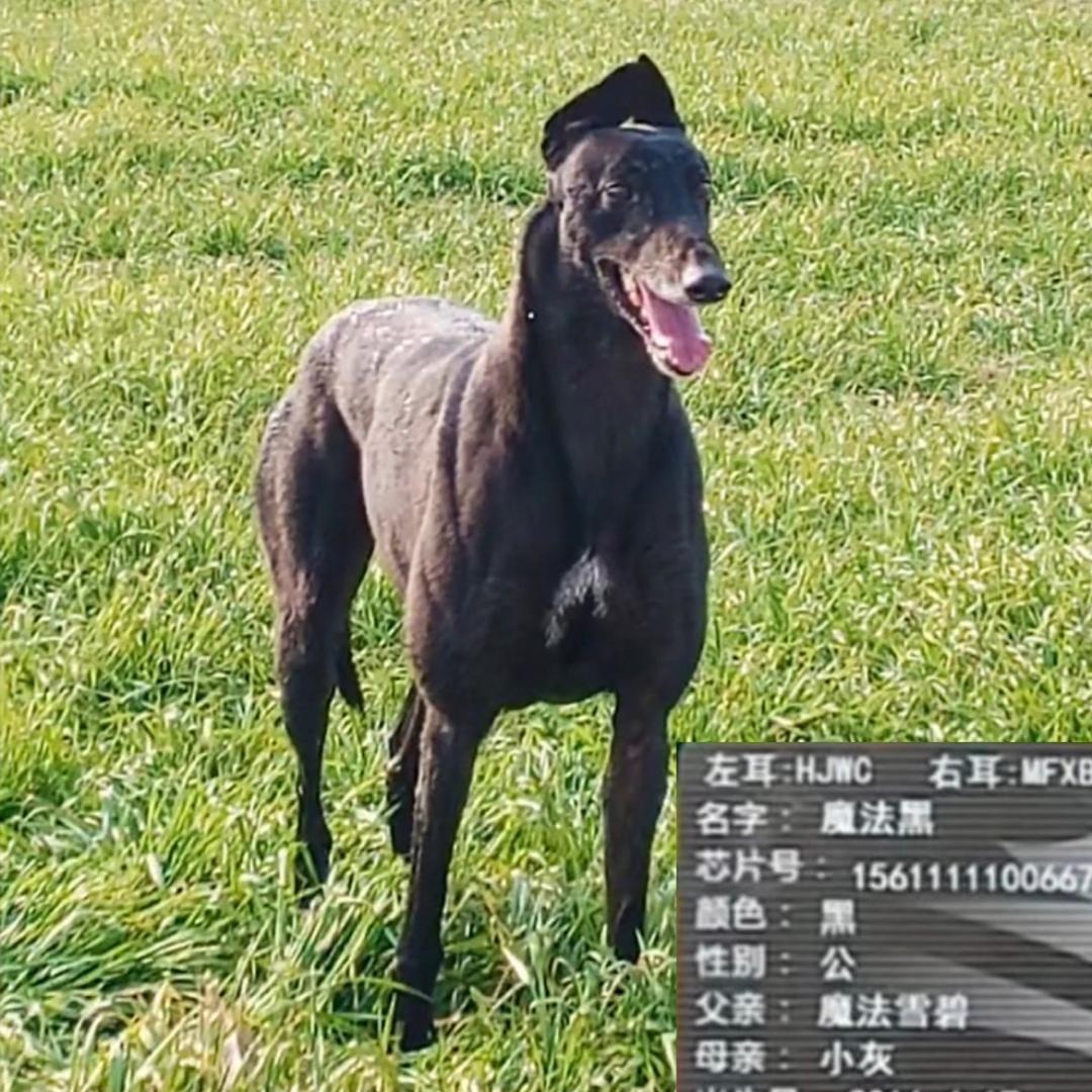 时光以北慕南城