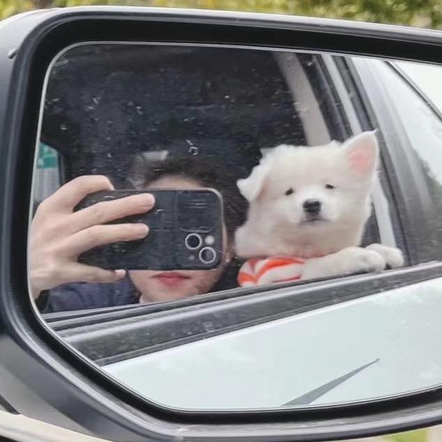 爱生活的糖糖