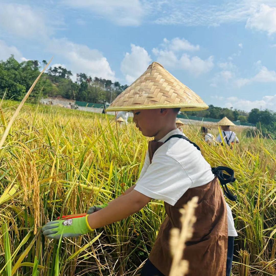 毛豆好物
