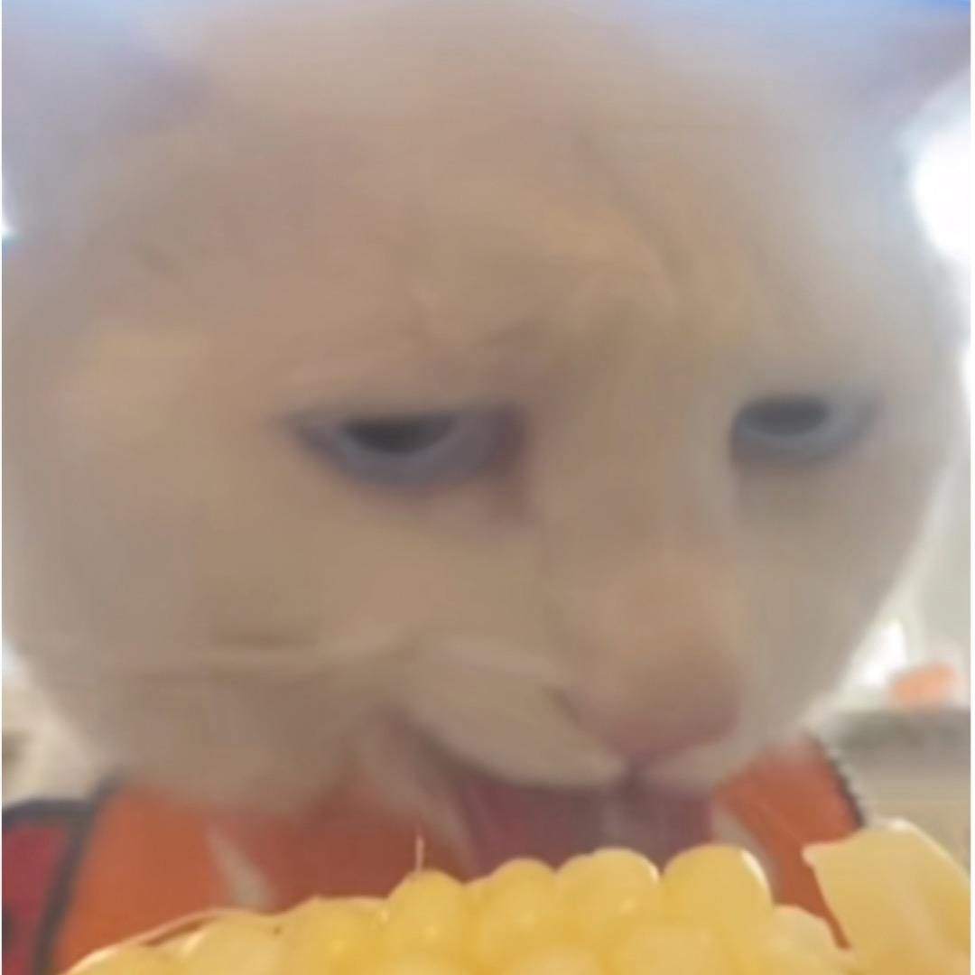 眉笑颜开