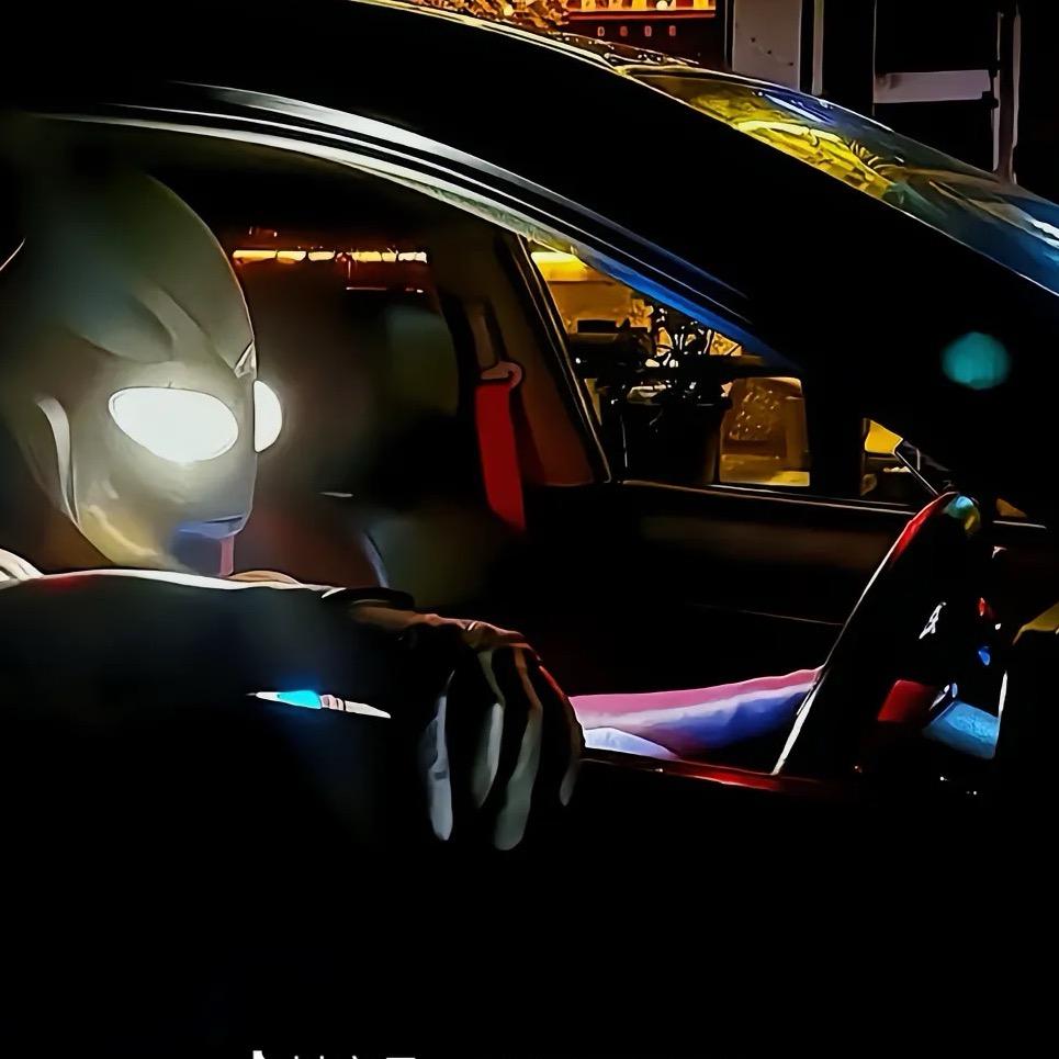 东莞帅虎旅游咨询有限公司