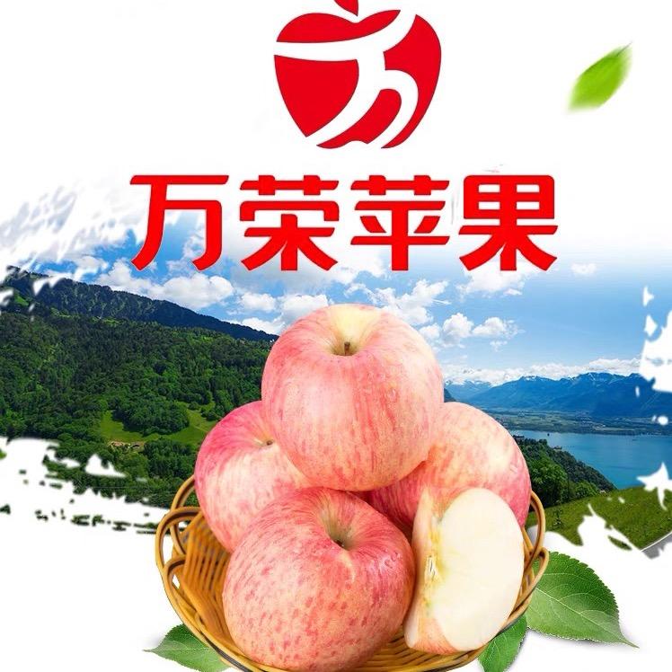 万荣苹果1