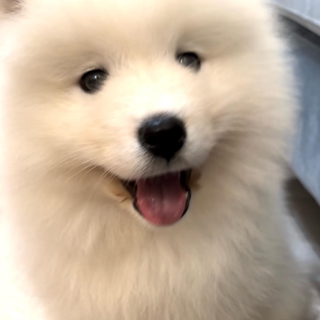 小小小小小嘻嘻