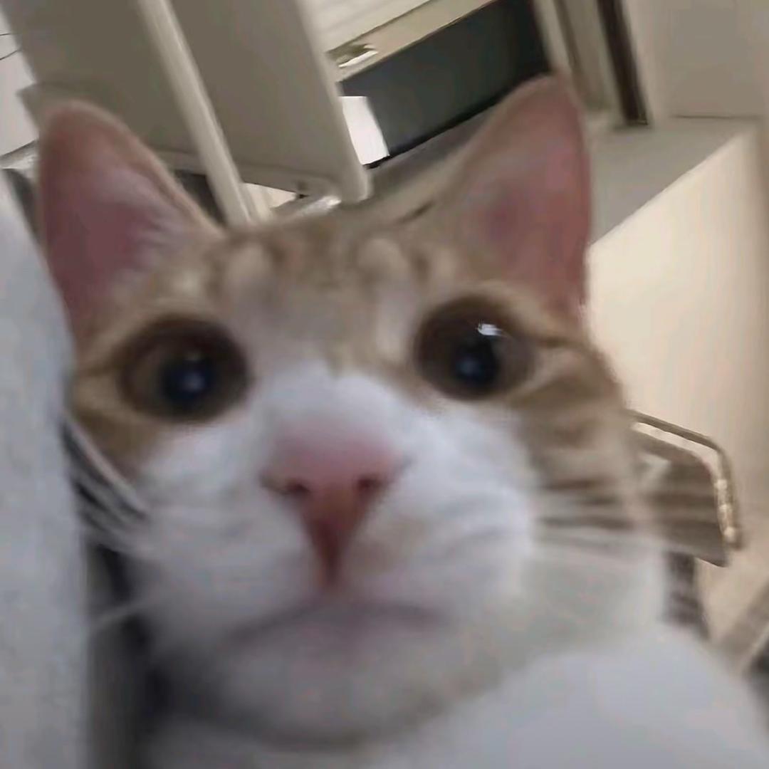 叫我刺猬就好