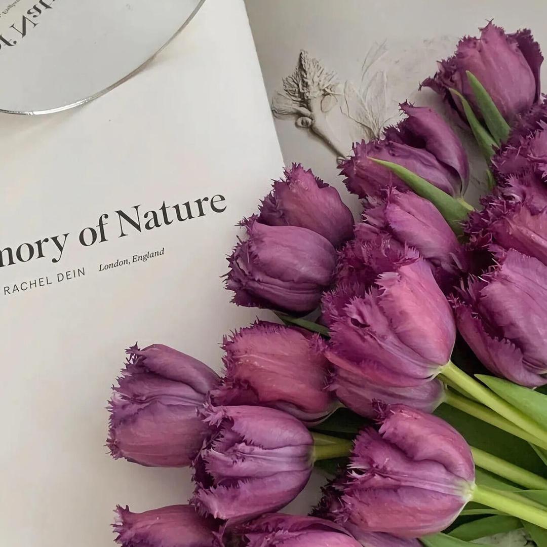 柠檬酸🍋服装优选