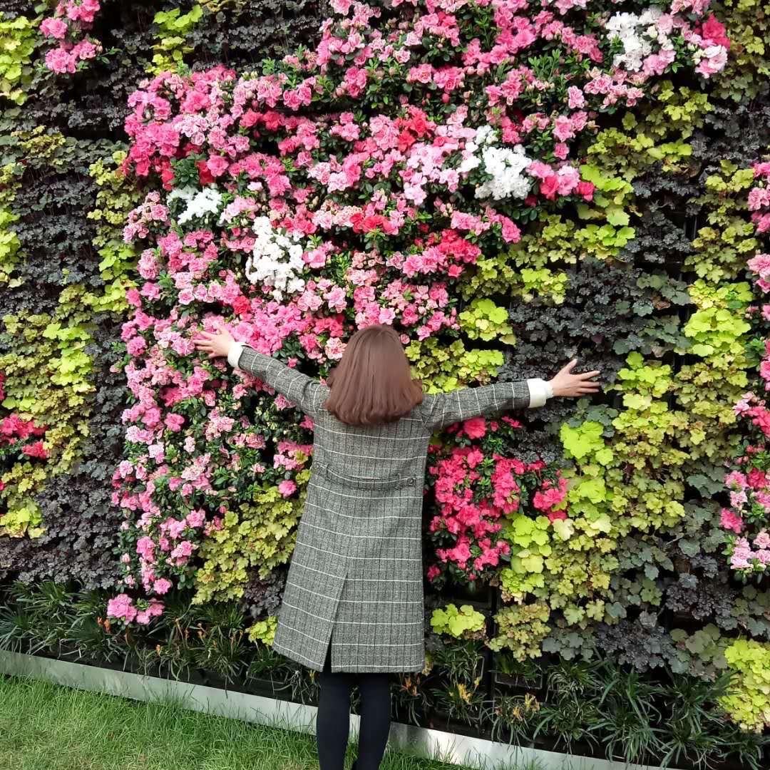 妮妮