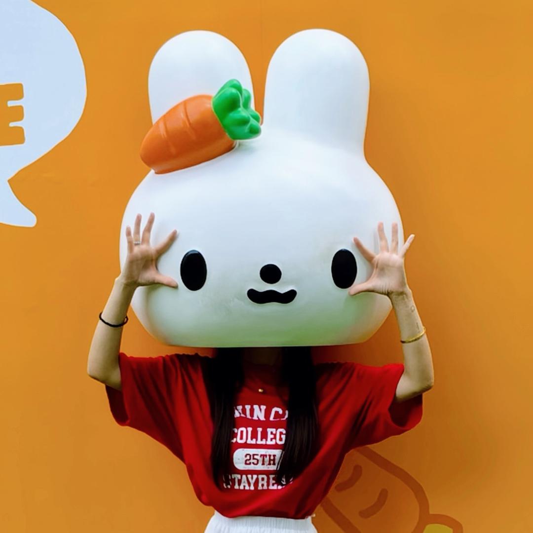 巴拉巴拉小魔方🥕