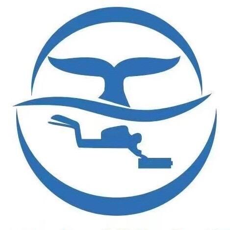 浪迹鼎力潜水俱乐部官方号