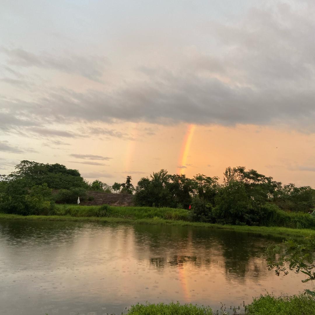 村里最后一个猎手·啊飞