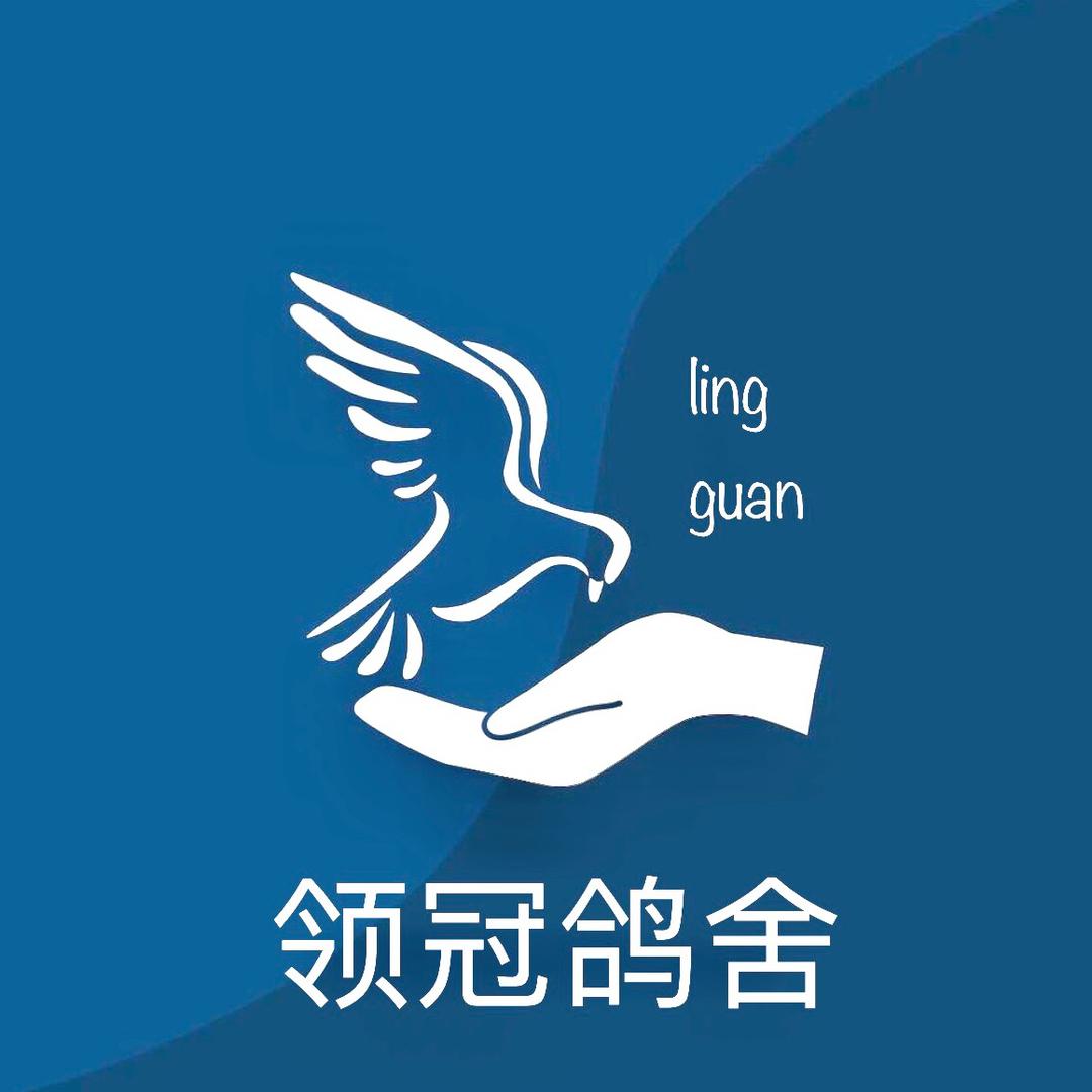 乐乐养鸽