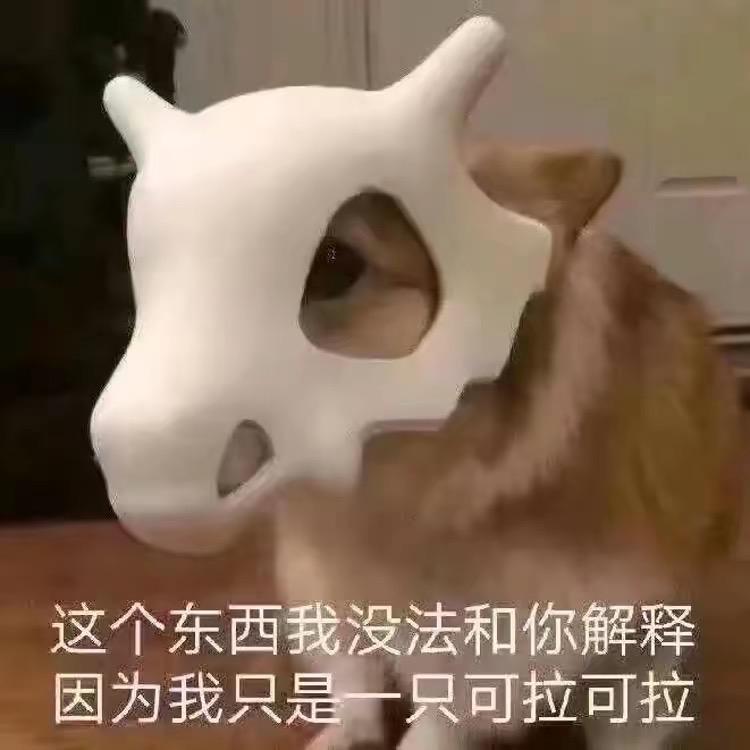 小希聊数码