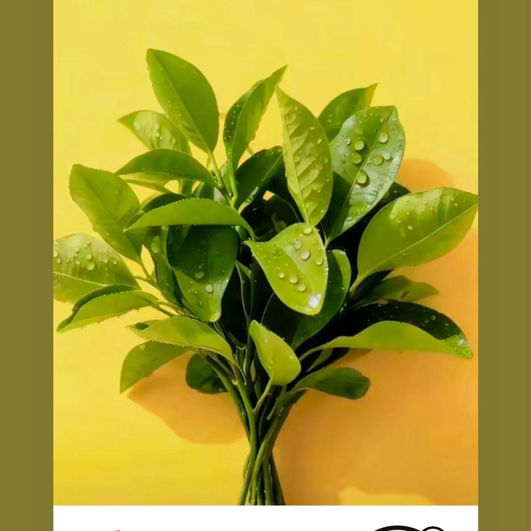 上上签  ❶⑨❽❼。