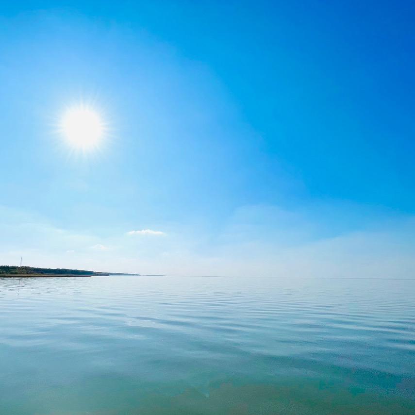 潜水中的小鱼儿