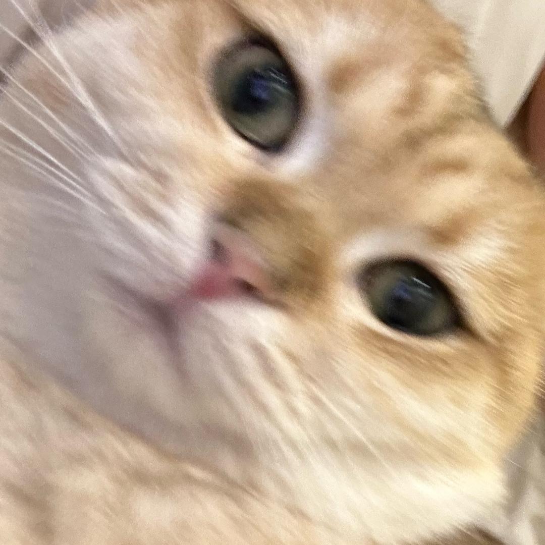 jsbsghd