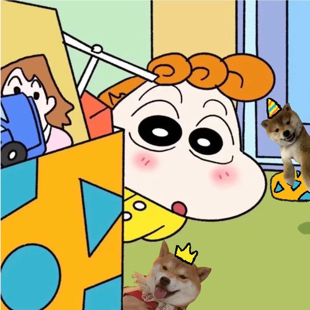柴犬小葵酱🌻