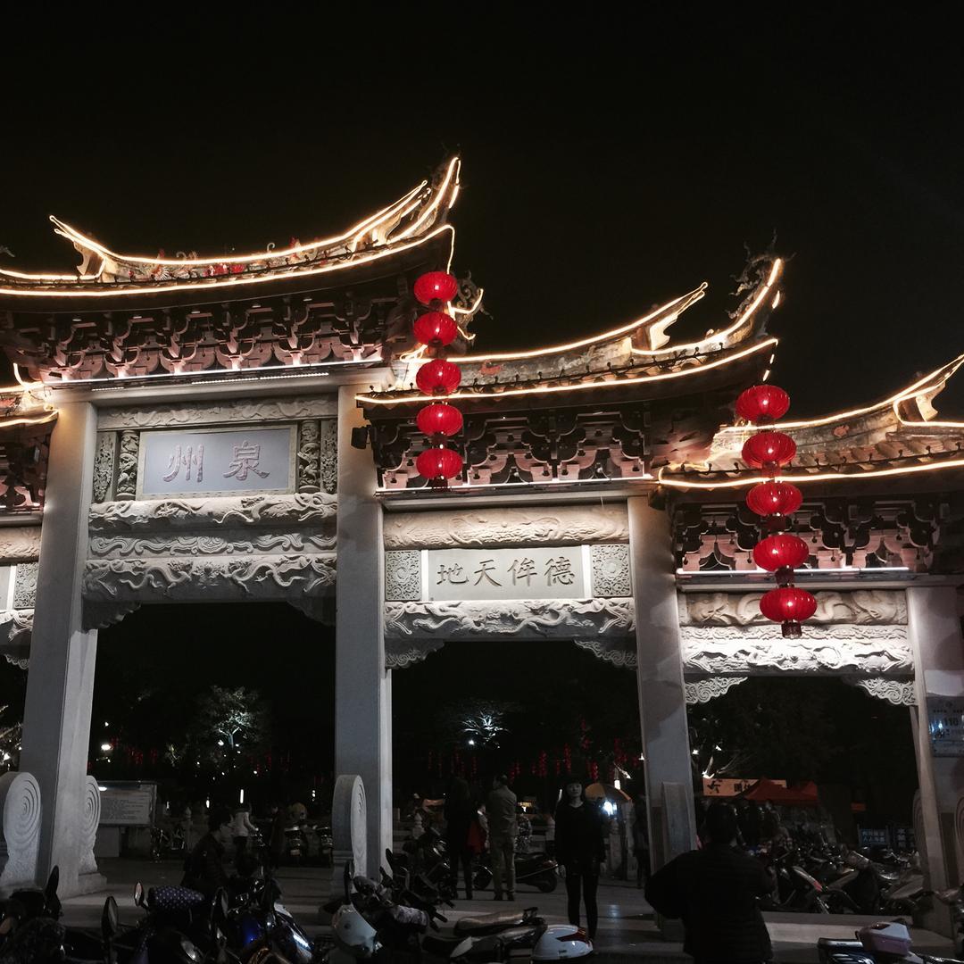 菩提树下