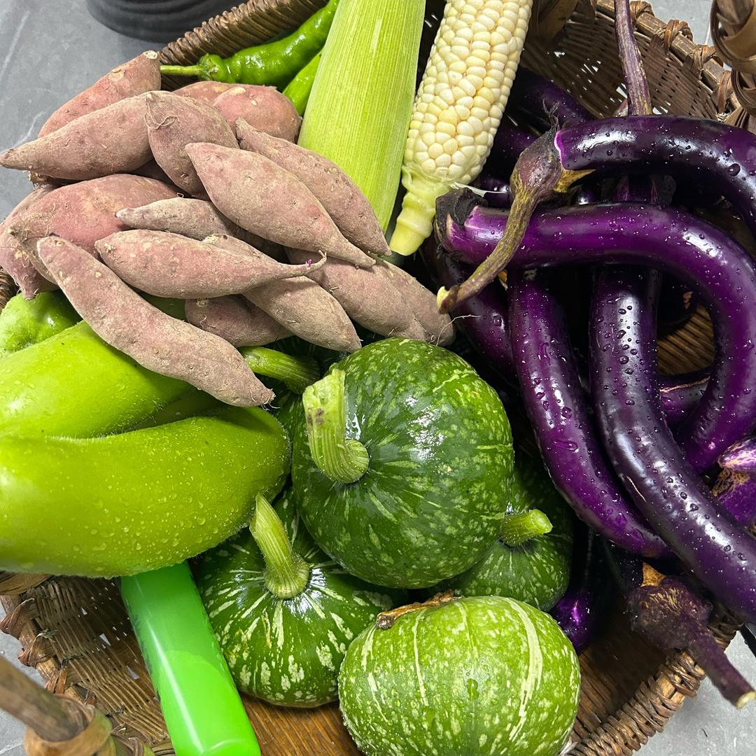 种菜阿达