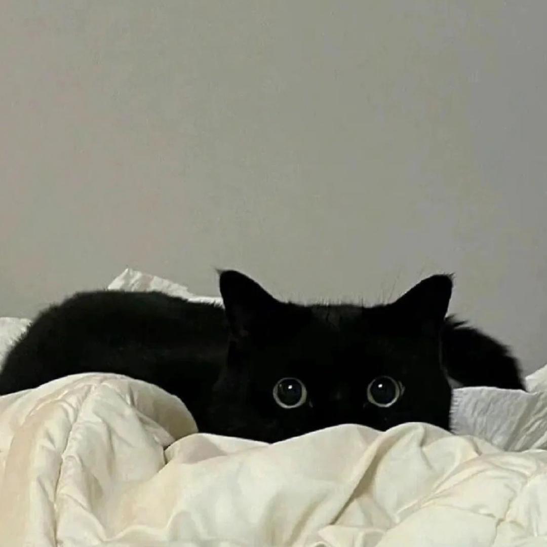 k k