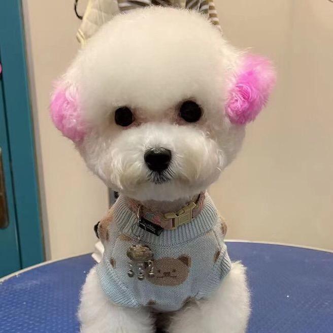 开心兄弟爱唱歌